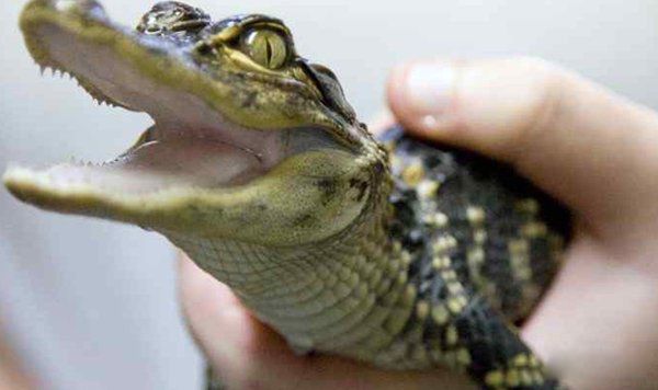 �������������Ķ���1~10������ ��������ҧ�����ж�ǿ