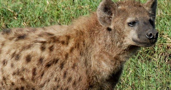 �������������Ķ���1~10������ ��������ҧ�����ж�ǿ