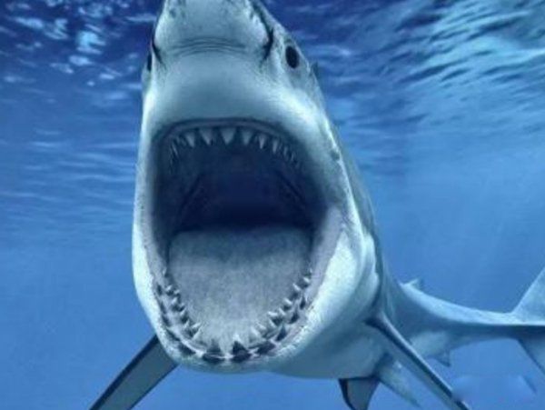 �������������Ķ���1~10������ ��������ҧ�����ж�ǿ