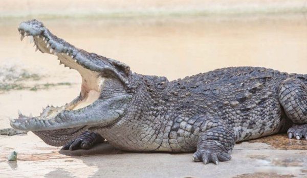 �������������Ķ���1~10������ ��������ҧ�����ж�ǿ