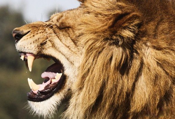 �������������Ķ���1~10������ ��������ҧ�����ж�ǿ