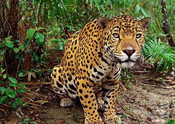 �������������Ķ���1~10������ ��������ҧ�����ж�ǿ