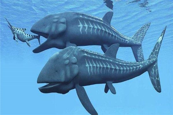 �������������������ĸ��� �������������ж೤�����Ķ�����