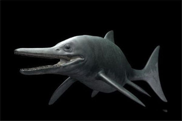 �������������������ĸ��� �������������ж೤�����Ķ�����