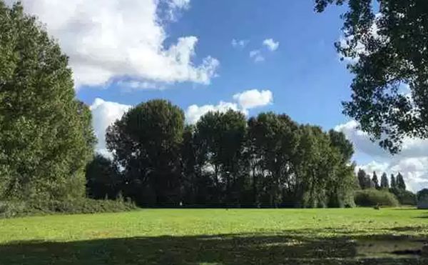 �����ϳ�������ֲ������Щ ��������ֲ������ǰʮ