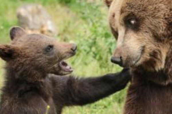 �������������Ķ���1~10������ ��������ҧ�����ж�ǿ