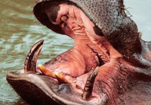 �������������Ķ���1~10������ ��������ҧ�����ж�ǿ