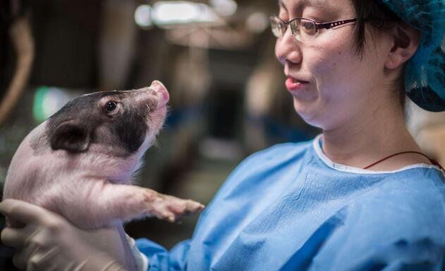 ���������赸֢�����ĸ����ҵ����� ��͢�����赸֢�ķ���ԭ���ǻ���