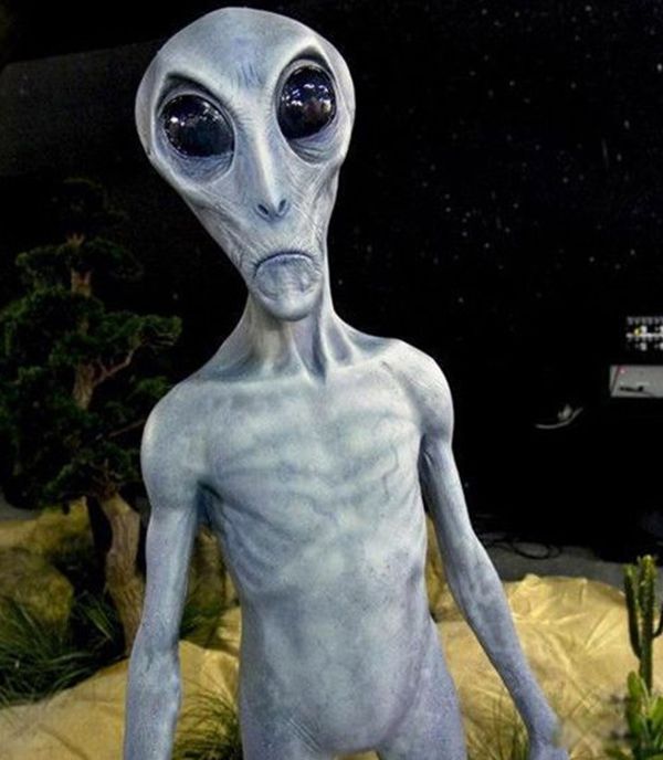 ����������֮����ʲô �й������˵��¼���ʵ����