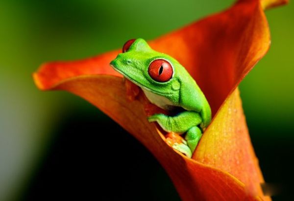 ����˯�������ۻ��Ǳ��� �������ܵ�һЩ����֪ʶ