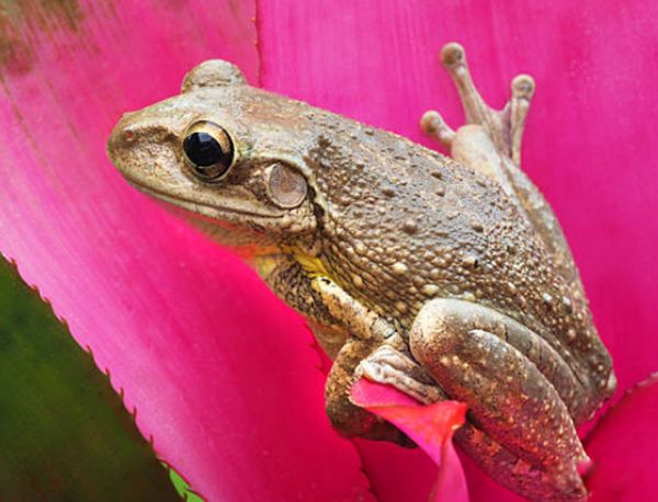 ����˯�������ۻ��Ǳ��� �������ܵ�һЩ����֪ʶ