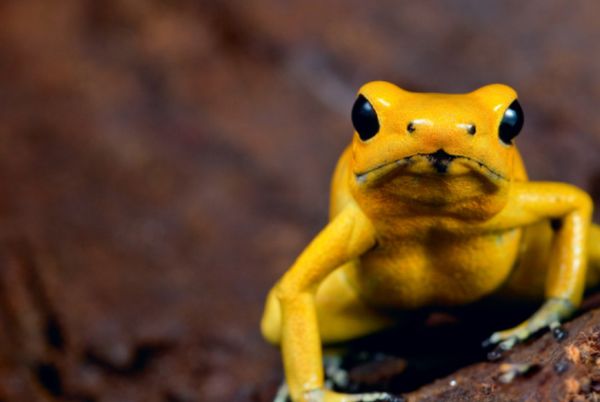 ����˯�������ۻ��Ǳ��� �������ܵ�һЩ����֪ʶ