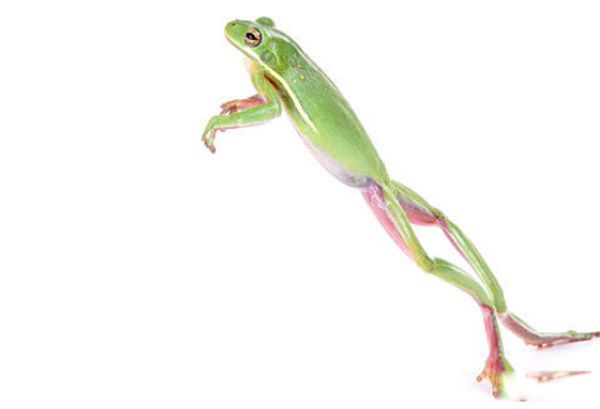 ����˯�������ۻ��Ǳ��� �������ܵ�һЩ����֪ʶ