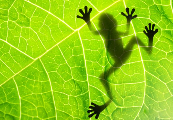 ����˯�������ۻ��Ǳ��� �������ܵ�һЩ����֪ʶ