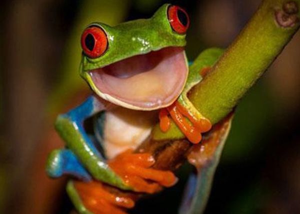 ����˯�������ۻ��Ǳ��� �������ܵ�һЩ����֪ʶ