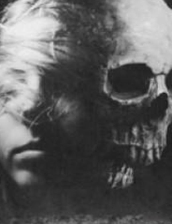 �����̿����˾������� ʮ��������ֲ̿�����