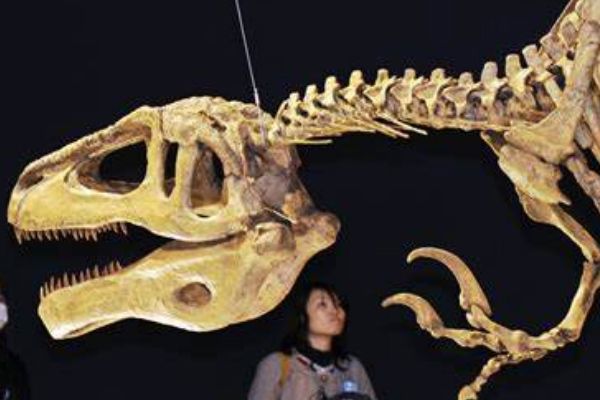 �������ʲô���ӵ� ���ĸ�ʱ�ڵ�ʳ�⶯��