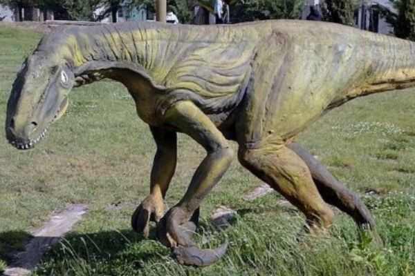 �������ʲô���ӵ� ���ĸ�ʱ�ڵ�ʳ�⶯��