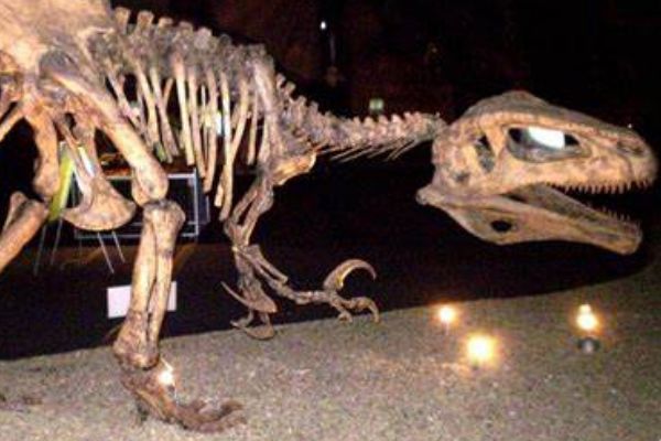 �������ʲô���ӵ� ���ĸ�ʱ�ڵ�ʳ�⶯��