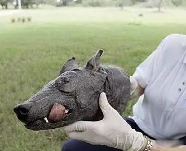 ����������֮����ʲô �й������˵��¼���ʵ����