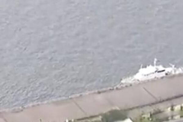 �����а»ᱣ�������¼� �����巢�ֲа»ᱣ����ʬ����