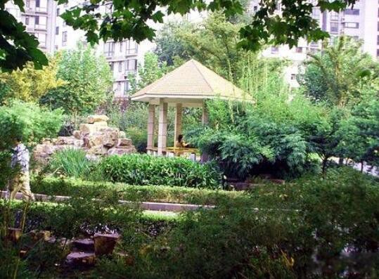 �Ϻ�����������ô���� ����������Щ���µĹ�����