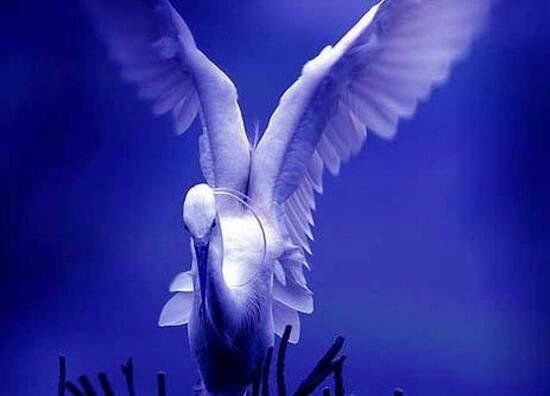 ������ͯ��ʲô��˼ ������ͯ�ľ�����������Щ