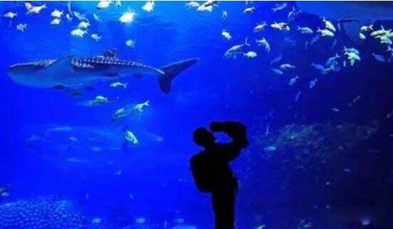 ������ͯ��ʲô��˼ ������ͯ�ľ�����������Щ