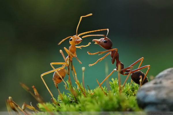 ��ά������ָʲô���� ��ά���������