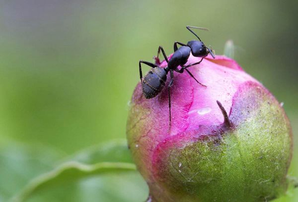 ��ά������ָʲô���� ��ά���������