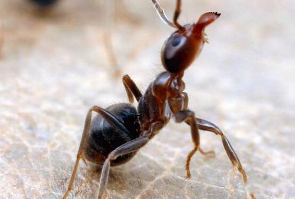 ��ά������ָʲô���� ��ά���������