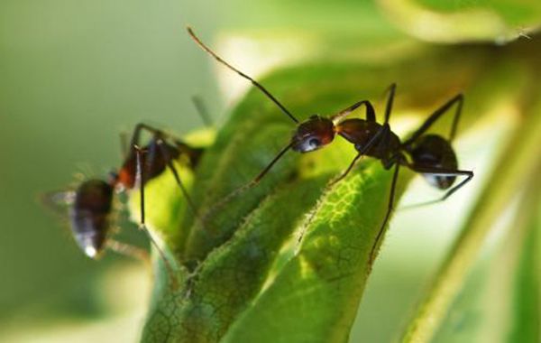 ��ά������ָʲô���� ��ά���������