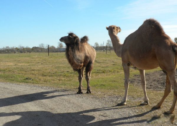 ���յ��շ�������Ҫ�������ʲô? ���յĽ�������