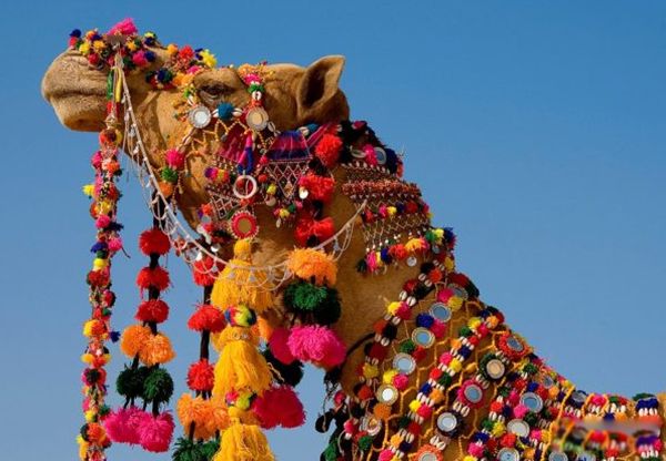 ���յ��շ�������Ҫ�������ʲô? ���յĽ�������