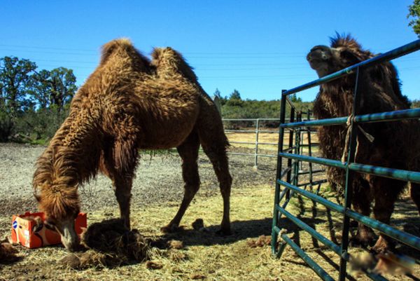 ���յ��շ�������Ҫ�������ʲô? ���յĽ�������