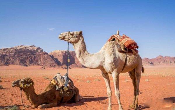 ���յ��շ�������Ҫ�������ʲô? ���յĽ�������