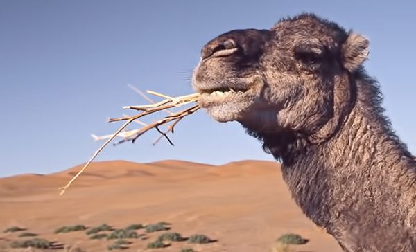 ���յ��շ�������Ҫ�������ʲô? ���յĽ�������