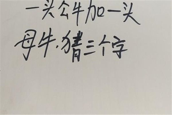 һͷ��ţһͷĸţ����������ɶ? һͷ��ţһͷĸţ���������Խת��