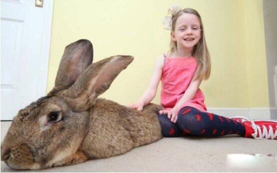 ��������Ʒ����ʲô ���������ܳ����ٽ��ж���