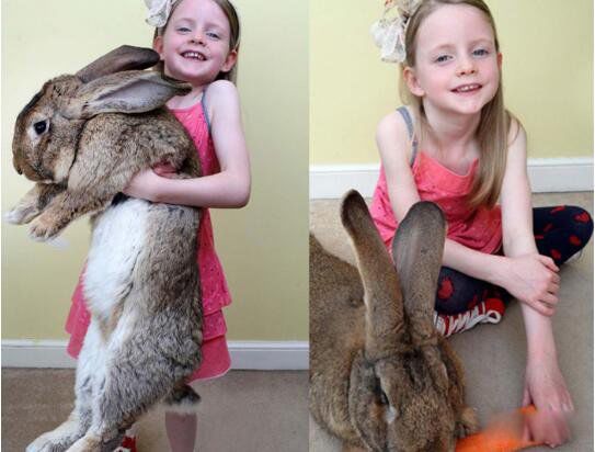 ��������Ʒ����ʲô ���������ܳ����ٽ��ж���