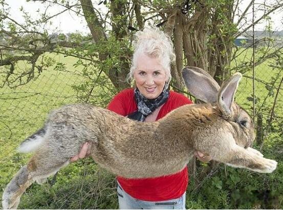 ��������Ʒ����ʲô ���������ܳ����ٽ��ж���