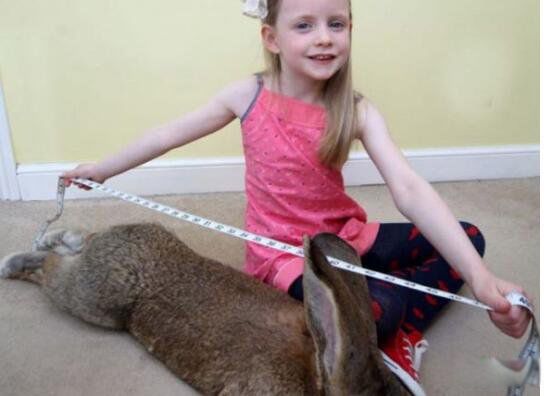 ��������Ʒ����ʲô ���������ܳ����ٽ��ж���