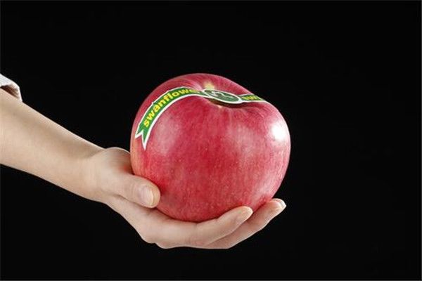 ����һ��ƻ���ó��� ����һ��ƻ������������