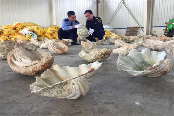 �ƹ����ж��������� �ƹ���ʲôʱ��������Ҷ�����������