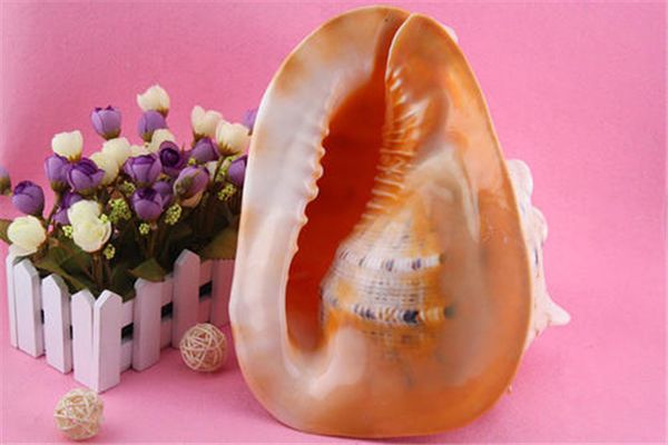 �ƹ����ж��������� �ƹ���ʲôʱ��������Ҷ�����������