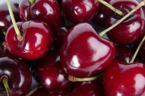 �Գ����ӵĺô��빦Ч �ӻ�˥�Ϻ���������