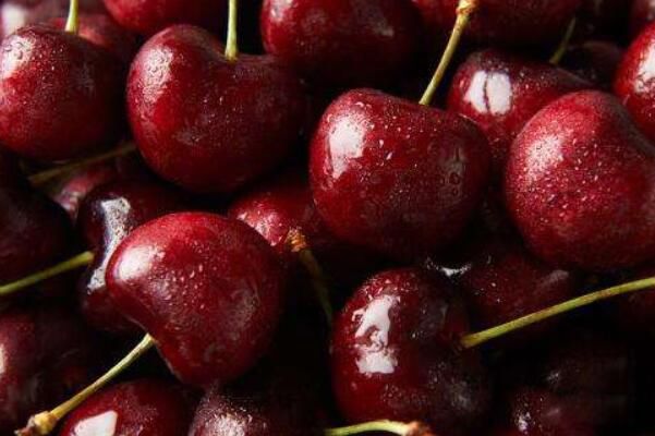 �Գ����ӵĺô��빦Ч �ӻ�˥�Ϻ���������