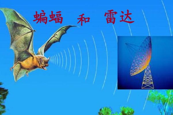 ���ݶ��﷢���Ķ�������Щ ���ݶ�����ص�ͱ��췢���Ķ���