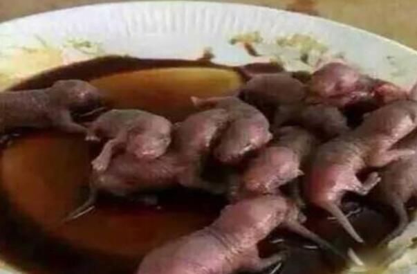 三吱儿的由来(为什么叫三吱儿) 三吱儿老鼠菜是什么鼠