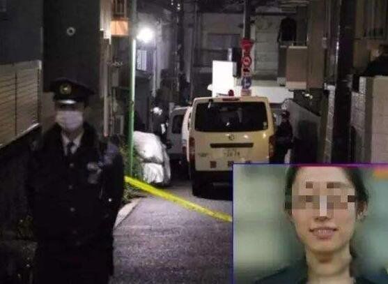 ���谸�����������н�� ���谸����������ʲô